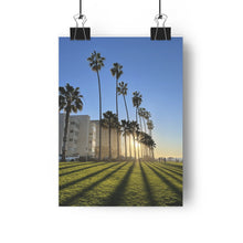 Load image into Gallery viewer, Palm Trees, La Jolla, 12/19/20
